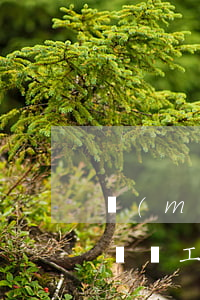 沒(méi)有簽勞動(dòng)合同，受傷員工能申請(qǐng)工傷？工傷有賠償嗎？